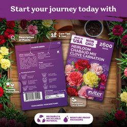 Chabaud Mix Clove Carnation Seeds – photo 2 Chabaud Mix Clove Carnation Seeds – kviterseeds.com – photo 2