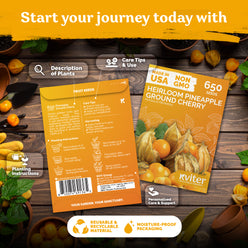 Pineapple Ground Cherry Seeds – photo 2 Pineapple Ground Cherry Seeds – kviterseeds.com – photo 2