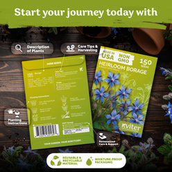 Borage Seeds – photo 2 Borage Seeds – kviterseeds.com – photo 2
