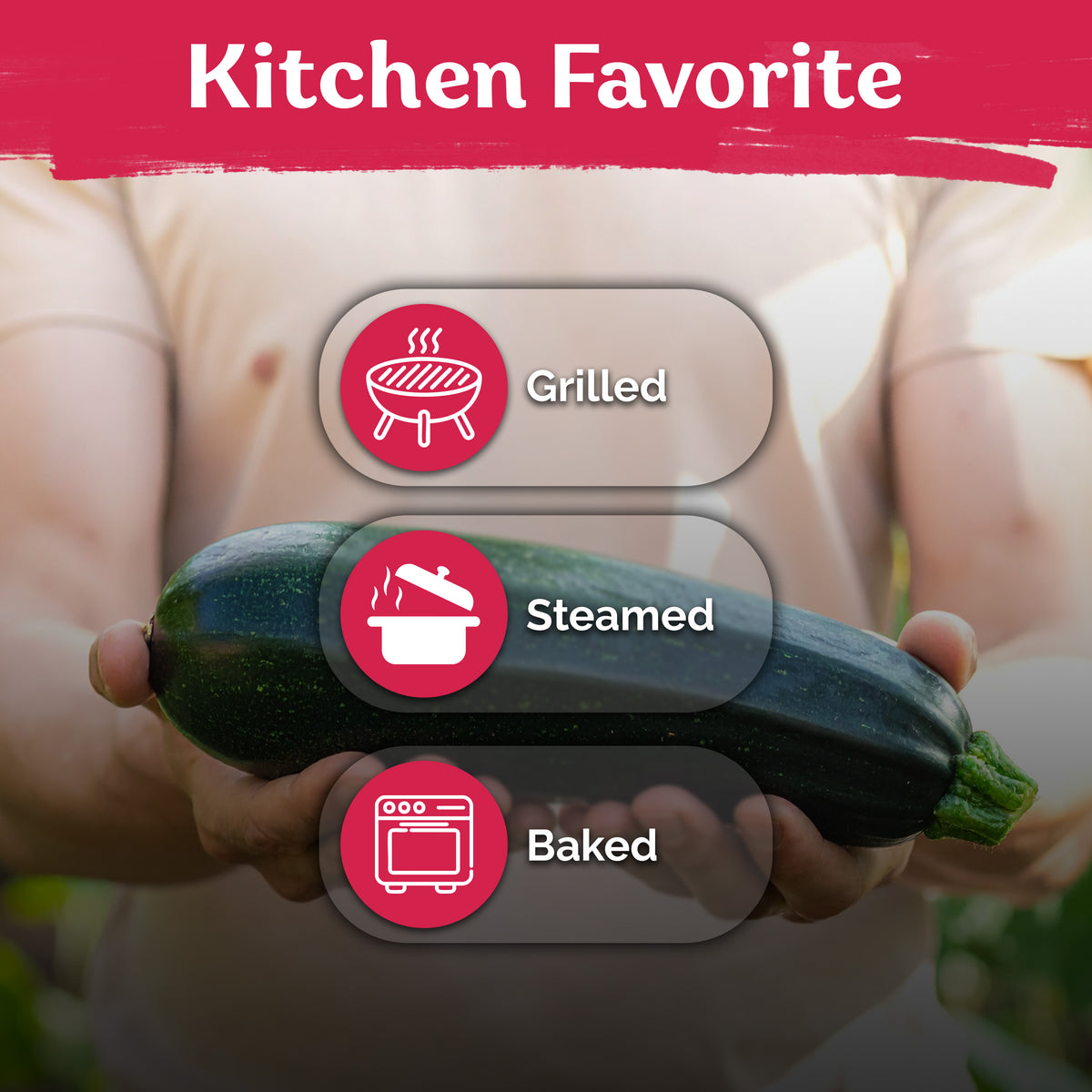 Black Beauty Zucchini Summer Squash Seeds