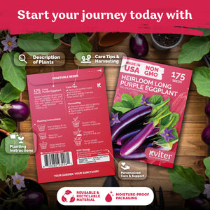 Long Purple Eggplant Seeds – kviterseeds.com – photo 2