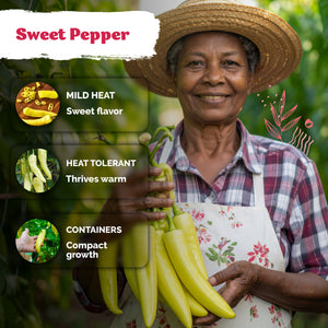 Sweet Banana Pepper Seeds – kviterseeds.com – photo 4