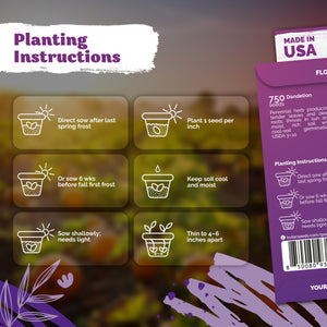 Dandelion Seeds – kviterseeds.com – photo 3