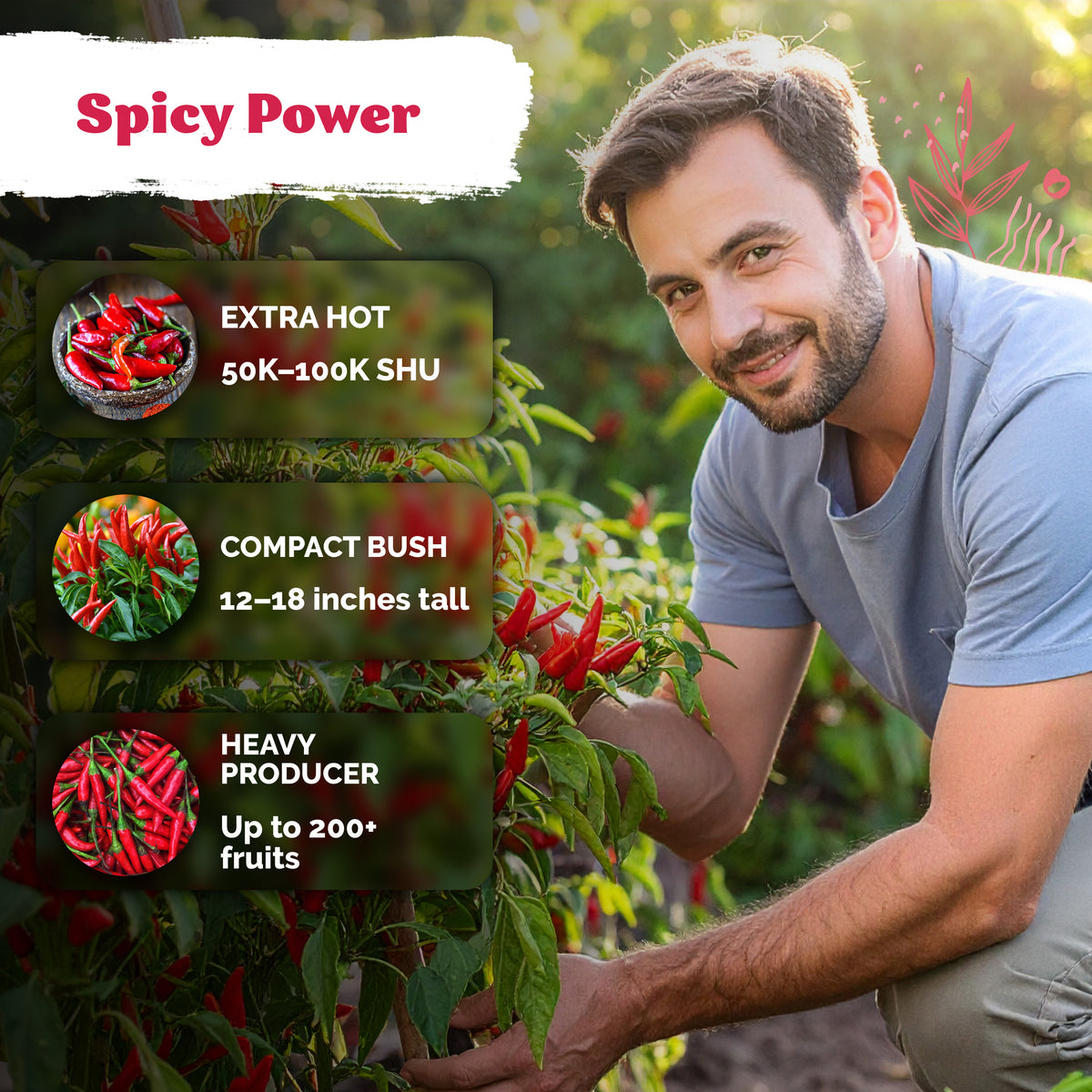 Birds Eye Chili Pepper Seeds – kviterseeds.com – photo 4