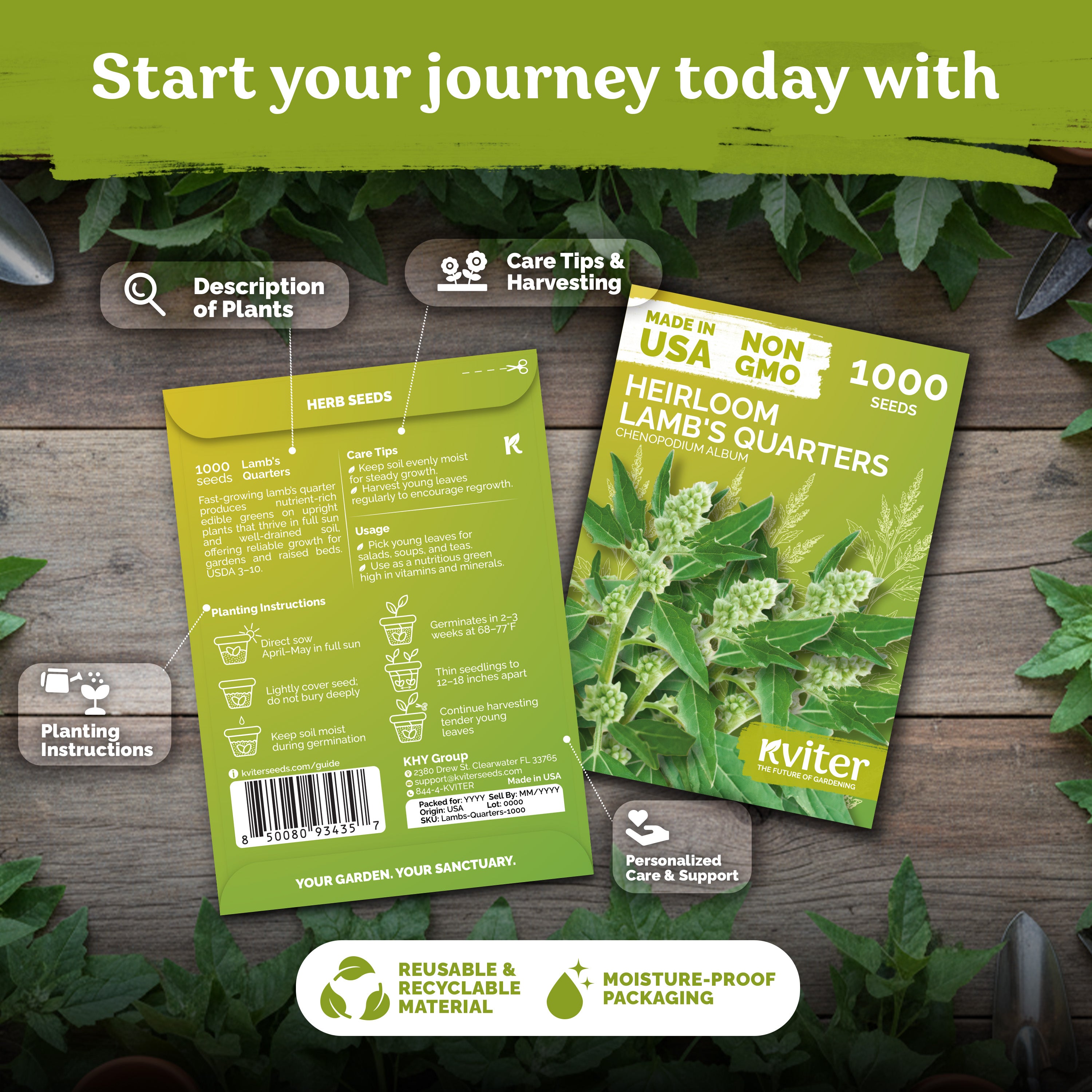 Lambs Quarter Seeds – kviterseeds.com – photo 2