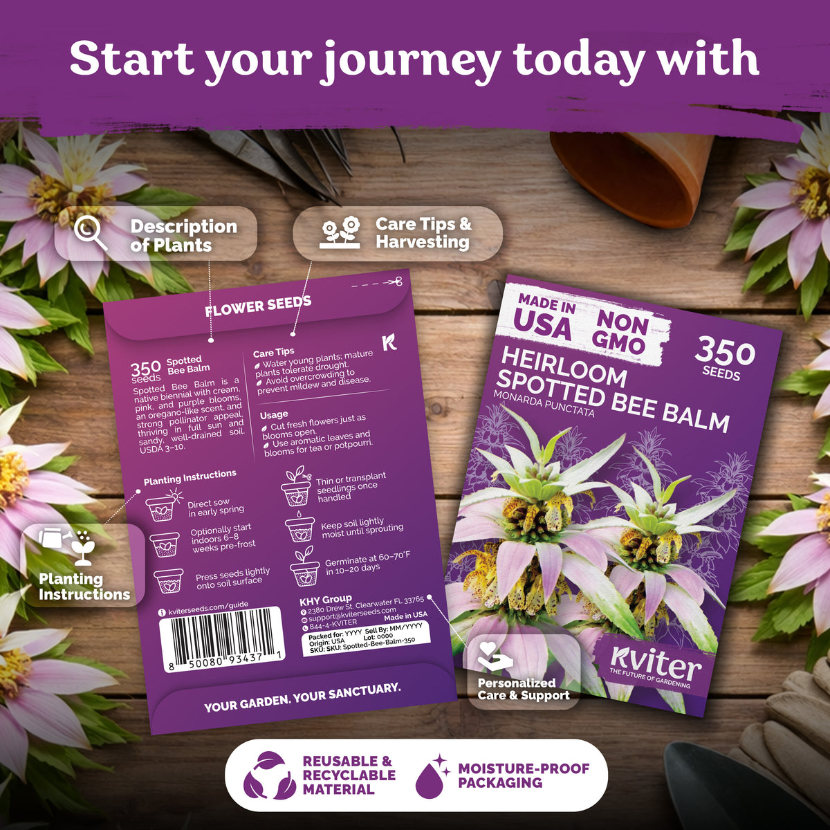 Spotted Bee Balm Seeds – kviterseeds.com – photo 2