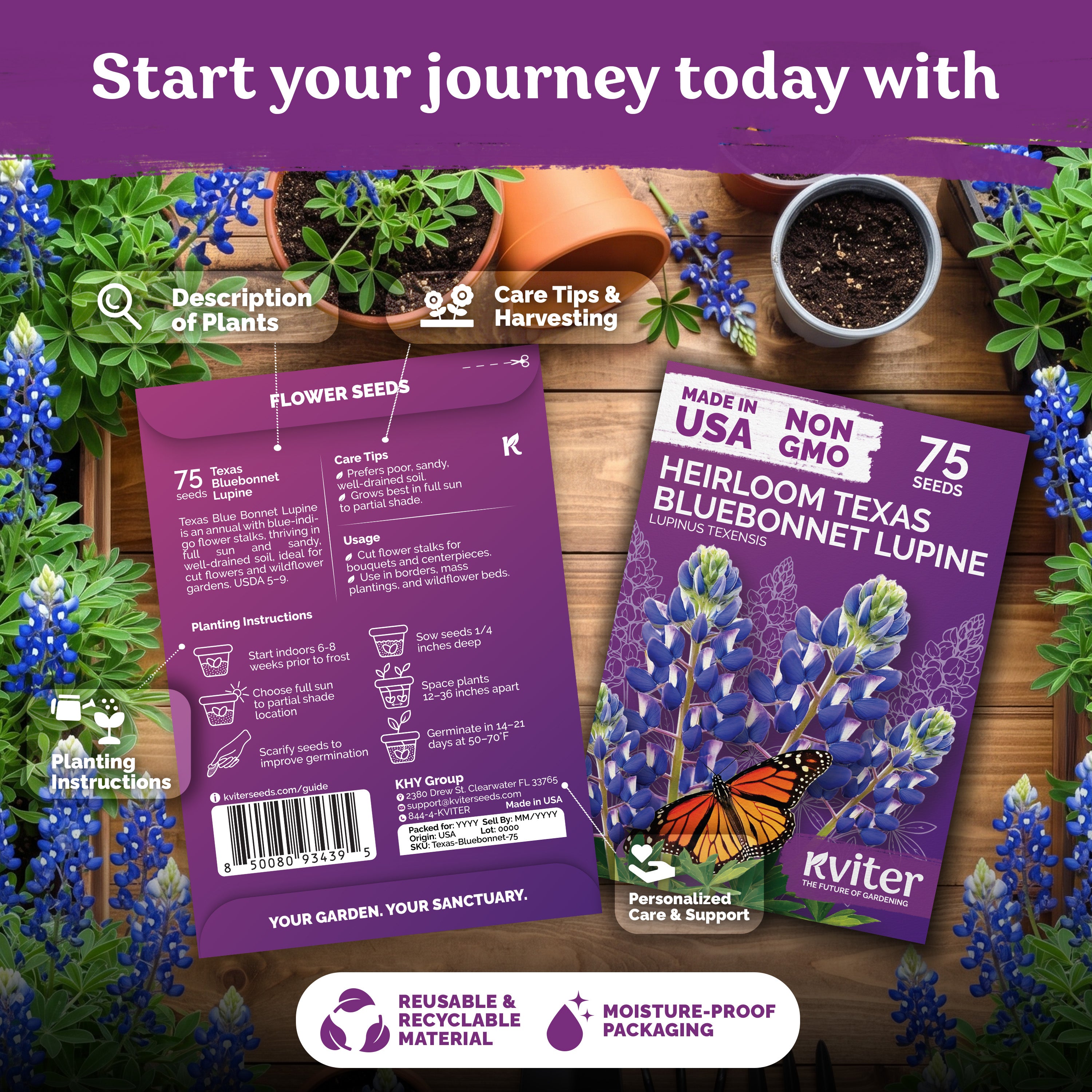 Texas Bluebonnet Lupine Seeds – kviterseeds.com – photo 2