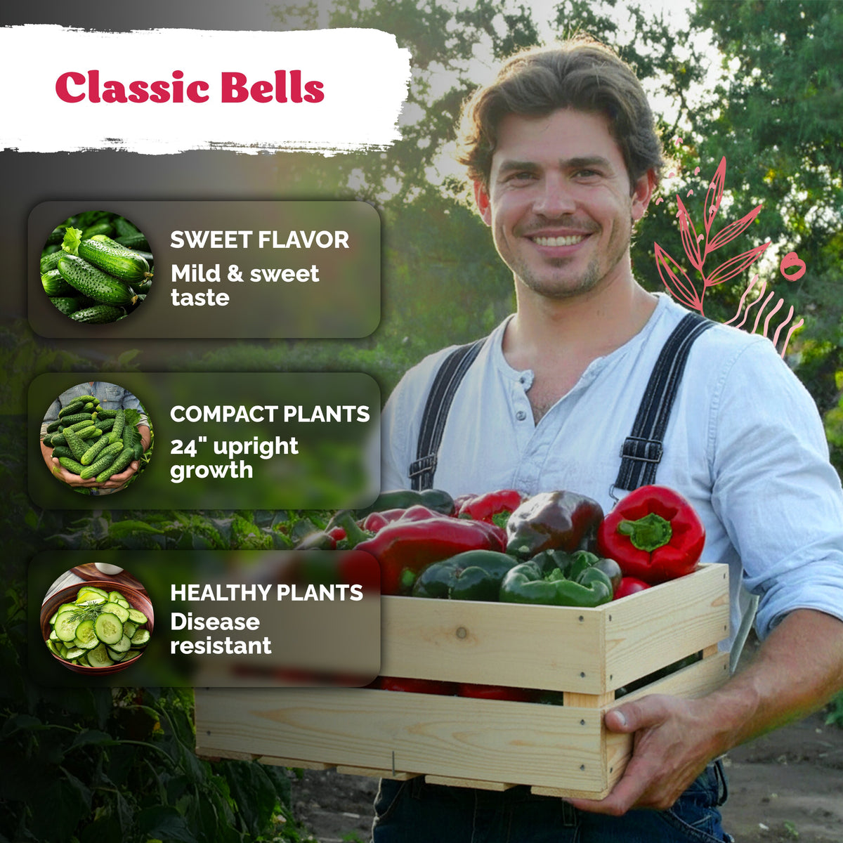 California Wonder Sweet Pepper Seeds