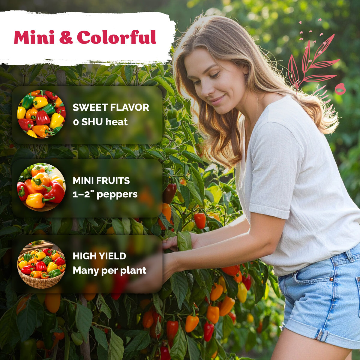 Mix Mini Belle Sweet Pepper Seeds