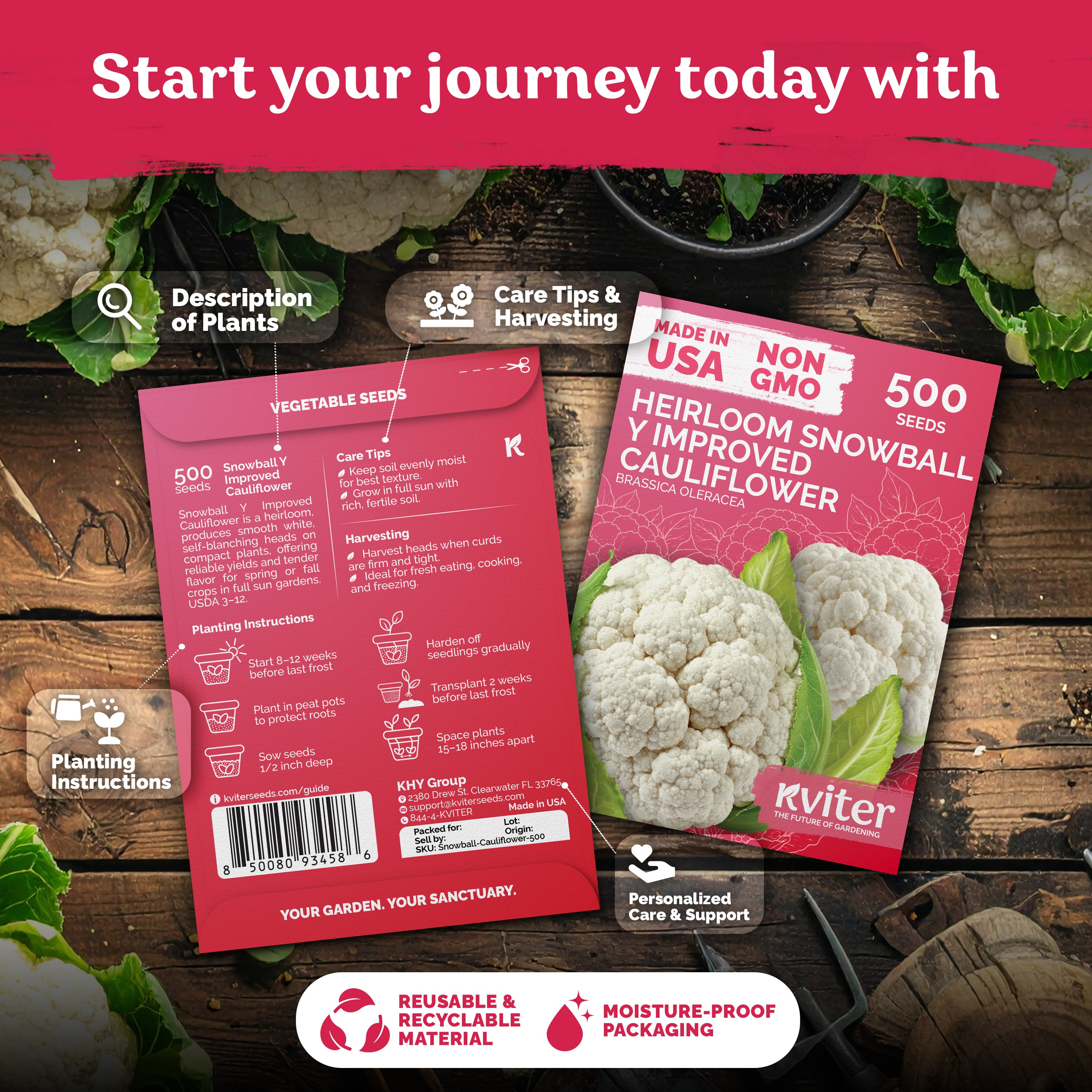 Snowball Y Improved Cauliflower Seeds – kviterseeds.com – photo 2