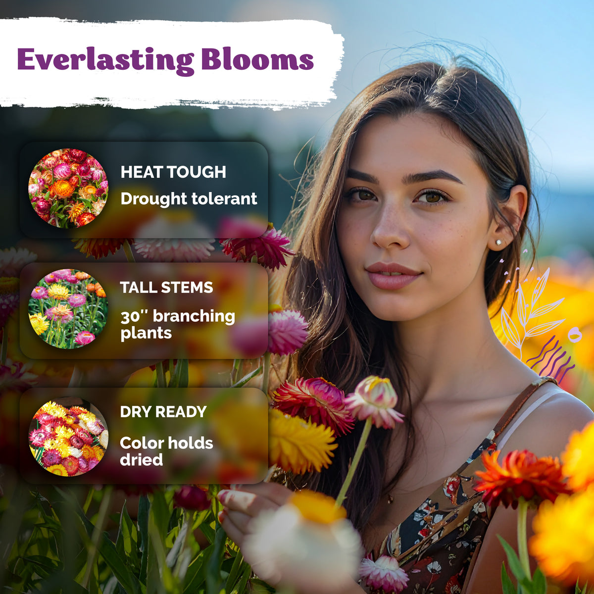 Tall Strawflower Seeds