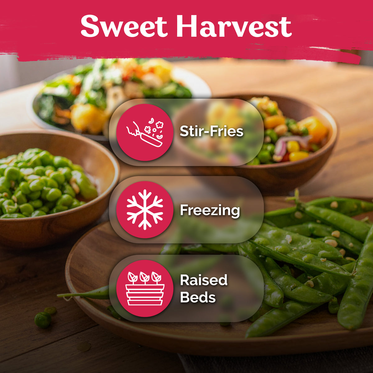Mammoth Melting Sugar Pea Seeds