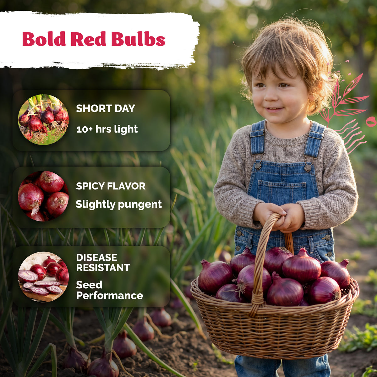 Red Creole Onion Seeds