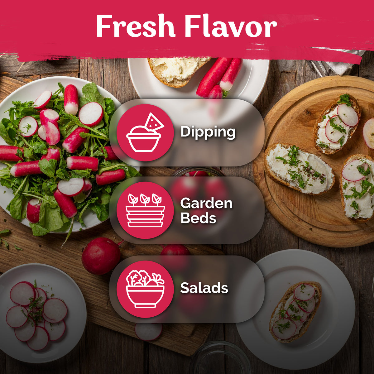 French Breakfast Radish Seeds