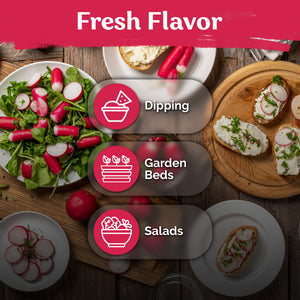 French Breakfast Radish Seeds – kviterseeds.com – photo 5