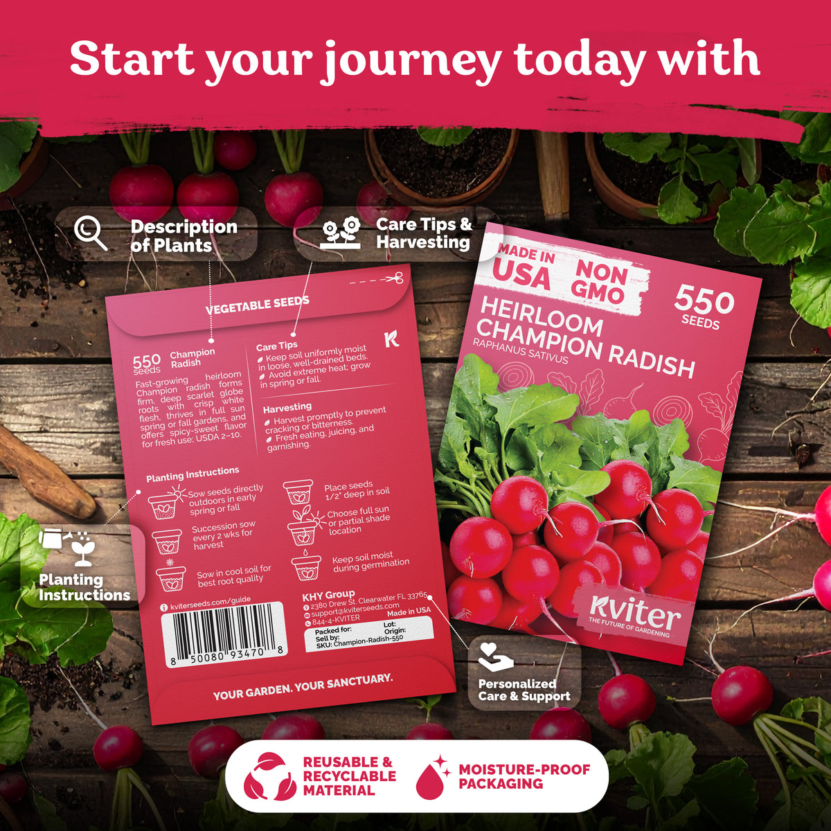 Champion Radish Seeds – kviterseeds.com – photo 2