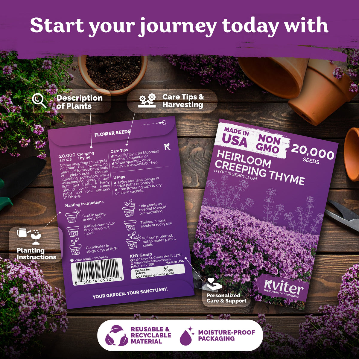 Creeping Thyme Seeds – kviterseeds.com – photo 2