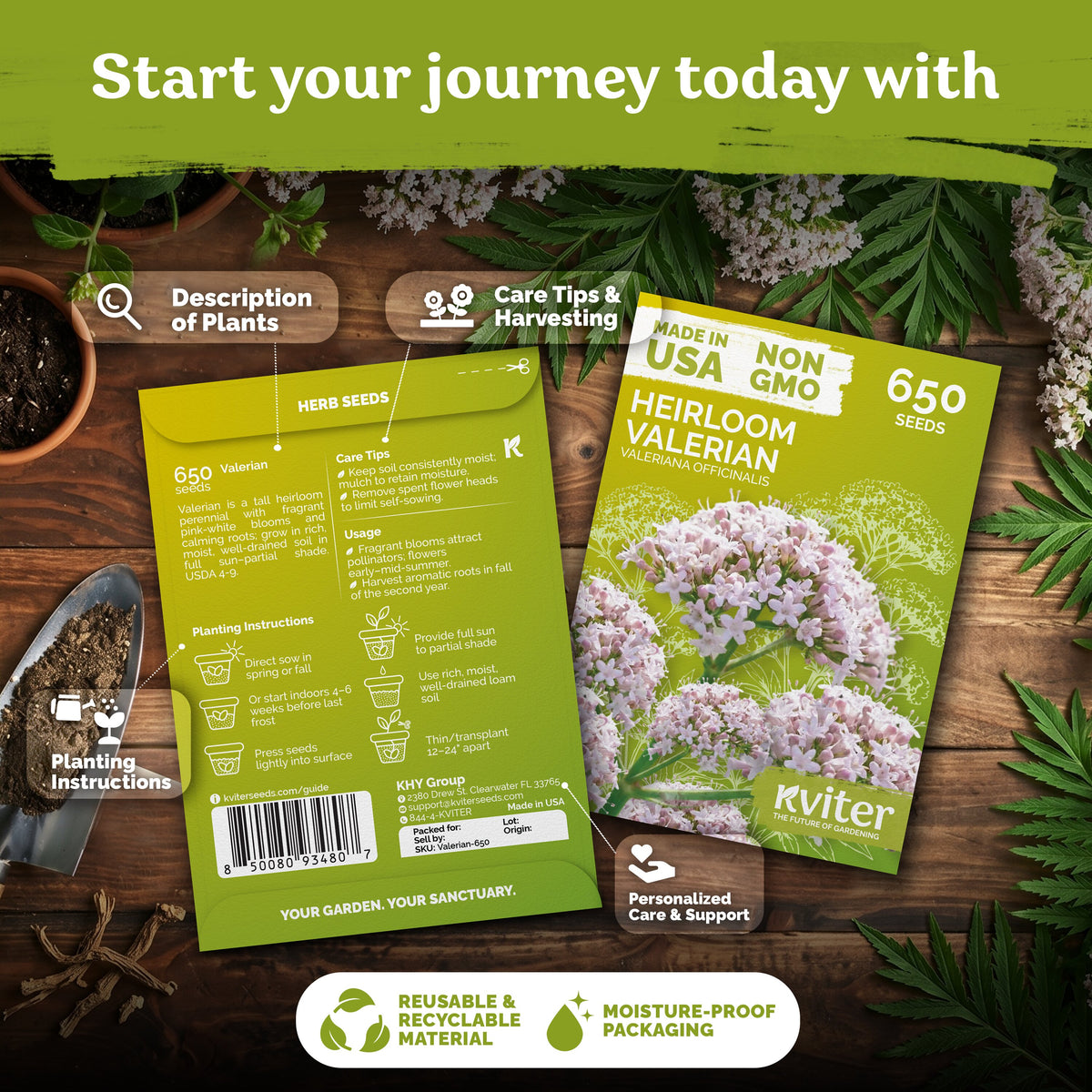 Valerian Seeds – kviterseeds.com – photo 2