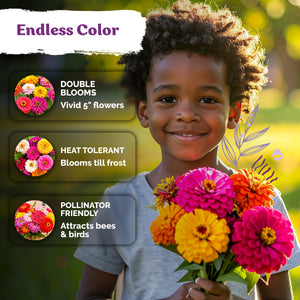 Mix Double Dahlia Zinnia Seeds – kviterseeds.com – photo 4