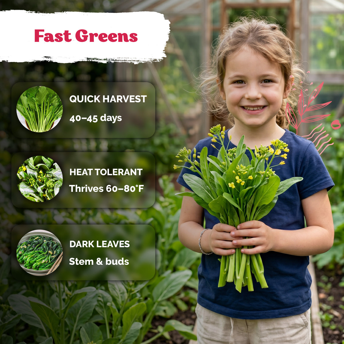Jung Green Yu Choy Sum Seeds – kviterseeds.com – photo 4
