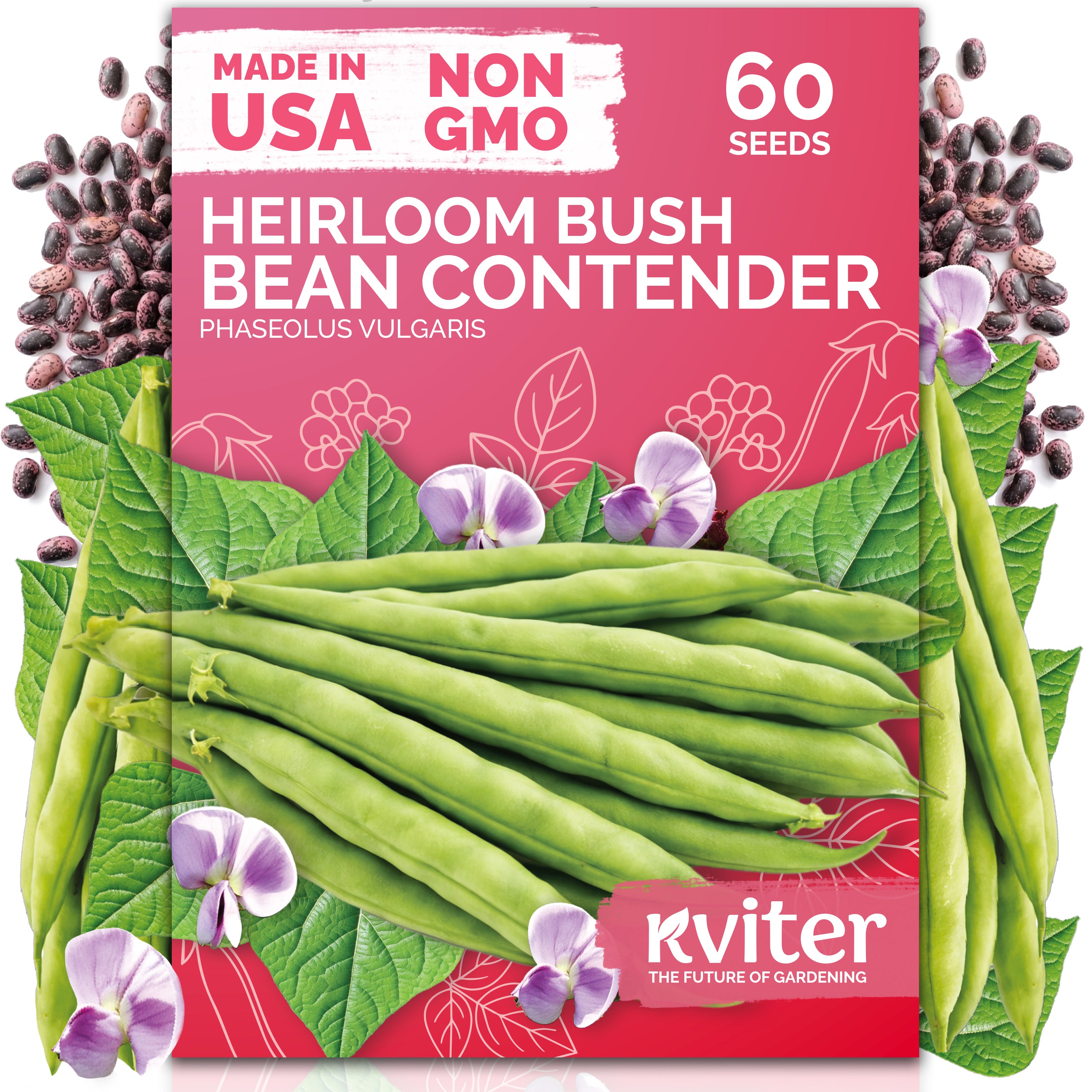 Contender Bush Bean Seeds – kviterseeds.com