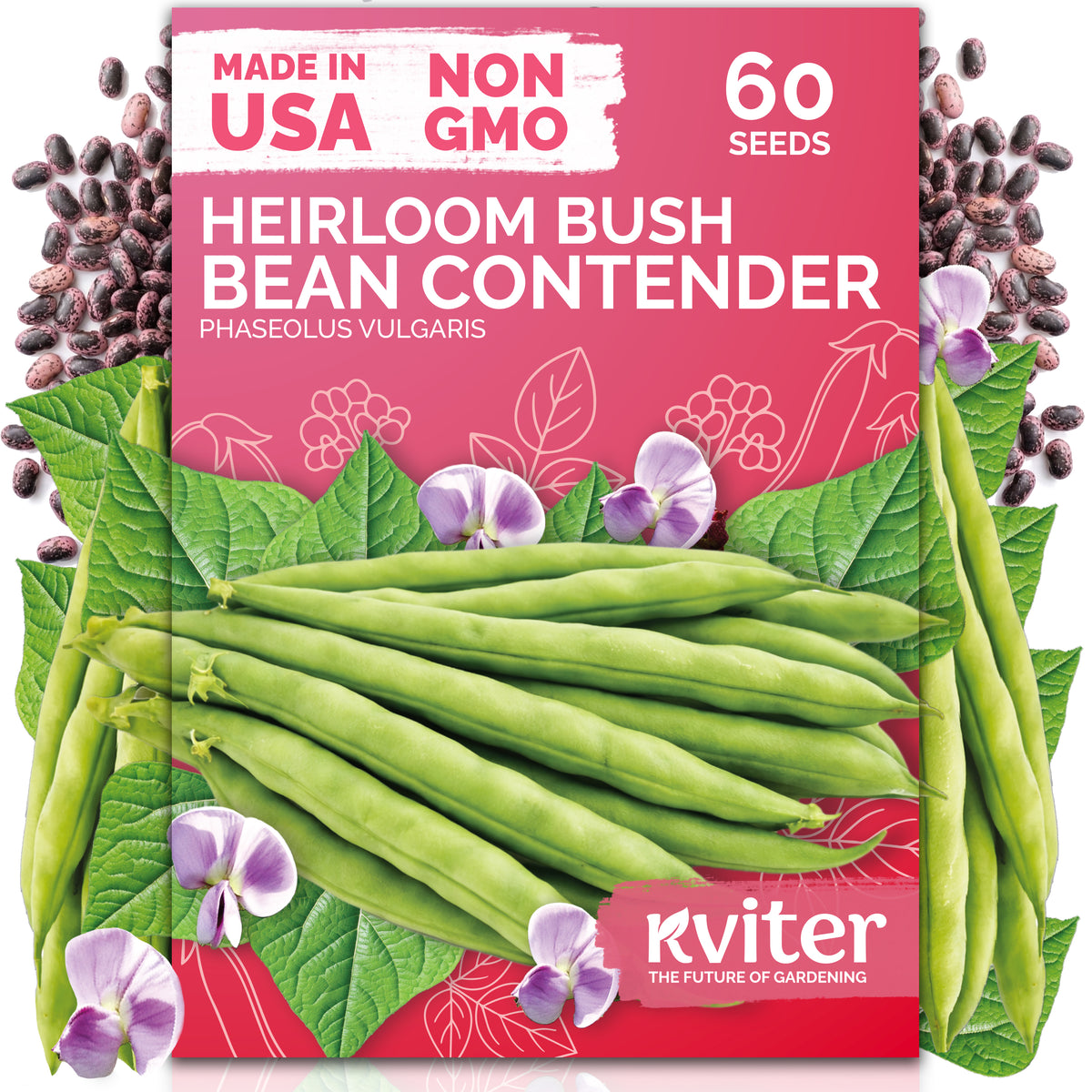 Contender Bush Bean Seeds