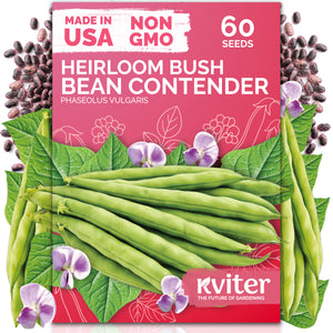 Contender Bush Bean Seeds – kviterseeds.com