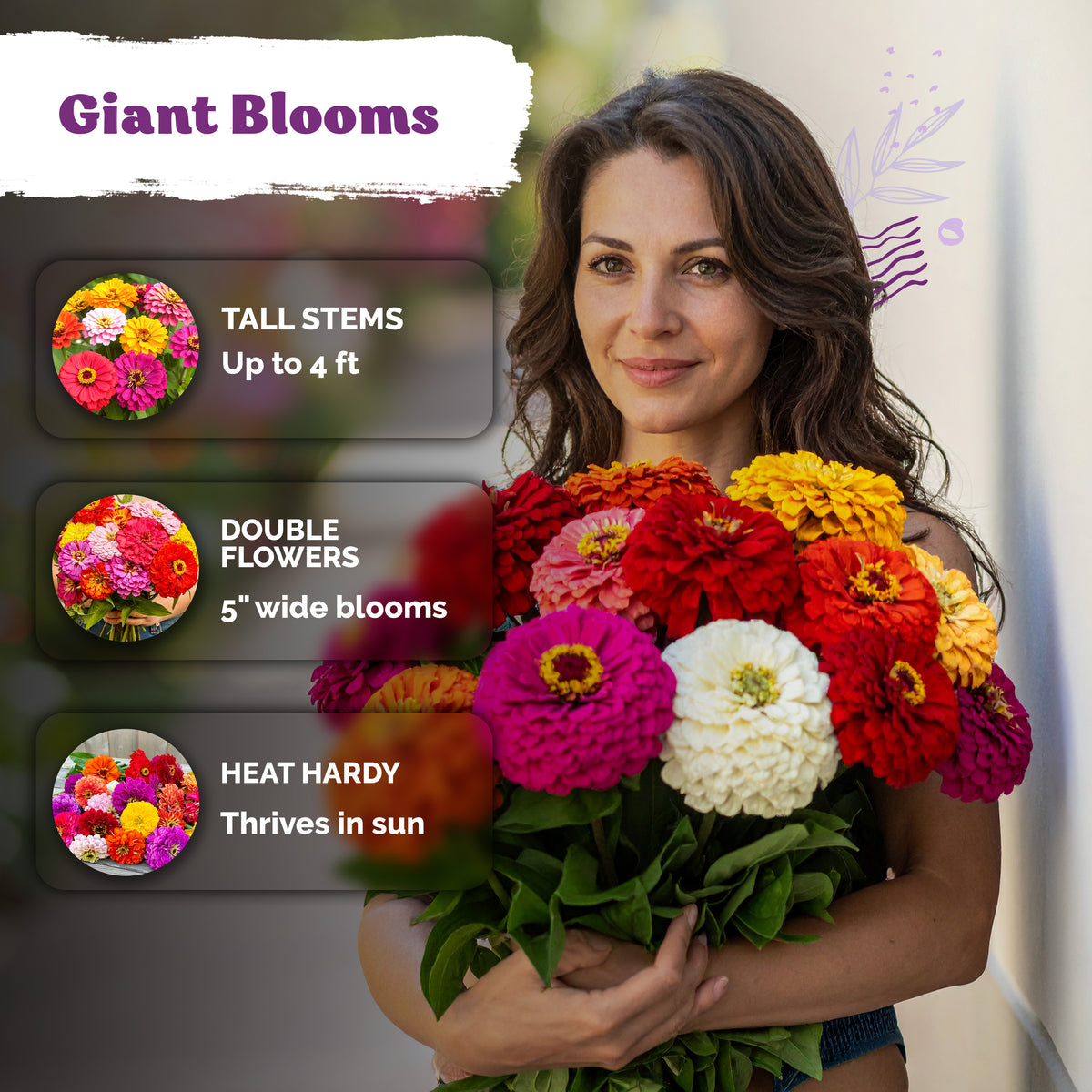 Mix California Giants Zinnia Seeds