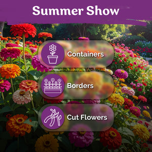 Mix California Giants Zinnia Seeds – kviterseeds.com – photo 5