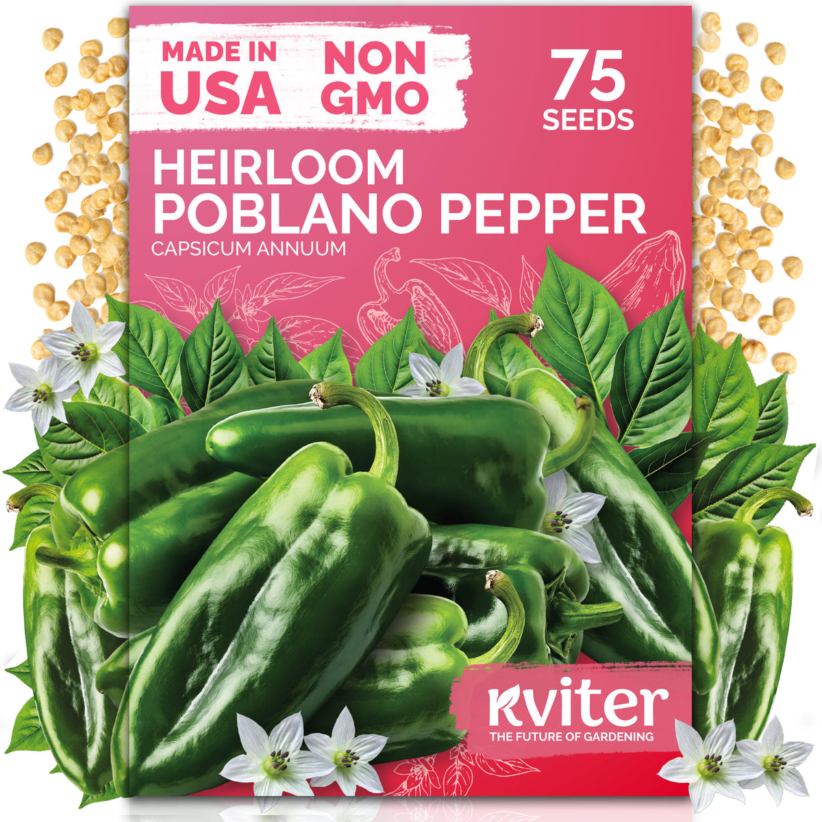 Poblano Ancho Grande Hot Pepper Seeds
