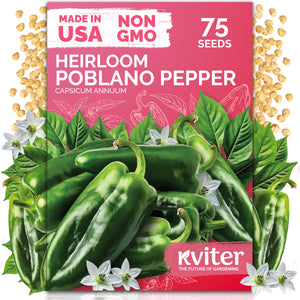 Poblano Ancho Grande Hot Pepper Seeds – kviterseeds.com