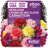 Chabaud Mix Clove Carnation Seeds – kviterseeds.com