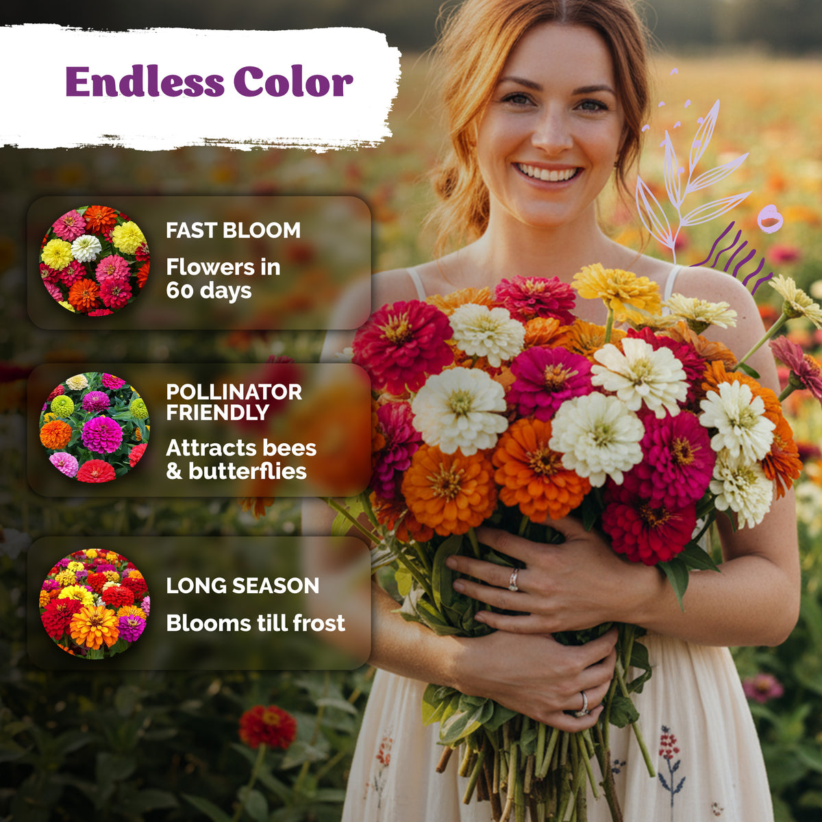 Crazy Blend Zinnia Seeds – kviterseeds.com – photo 4
