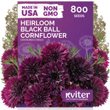 Black Ball Cornflower Seeds – kviterseeds.com
