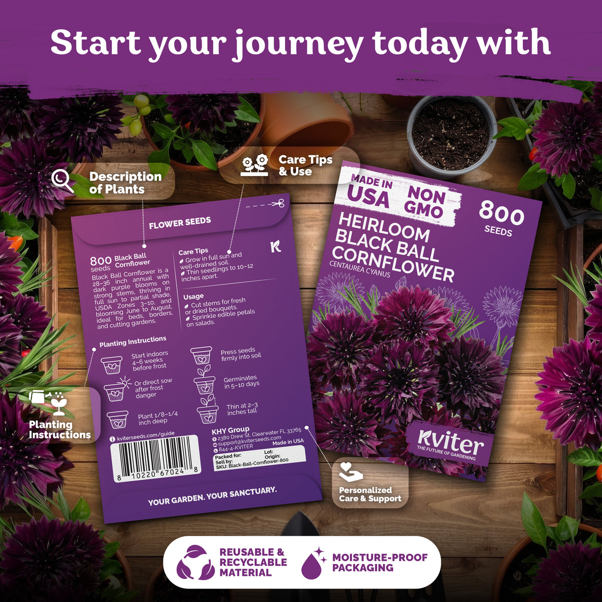 Black Ball Cornflower Seeds