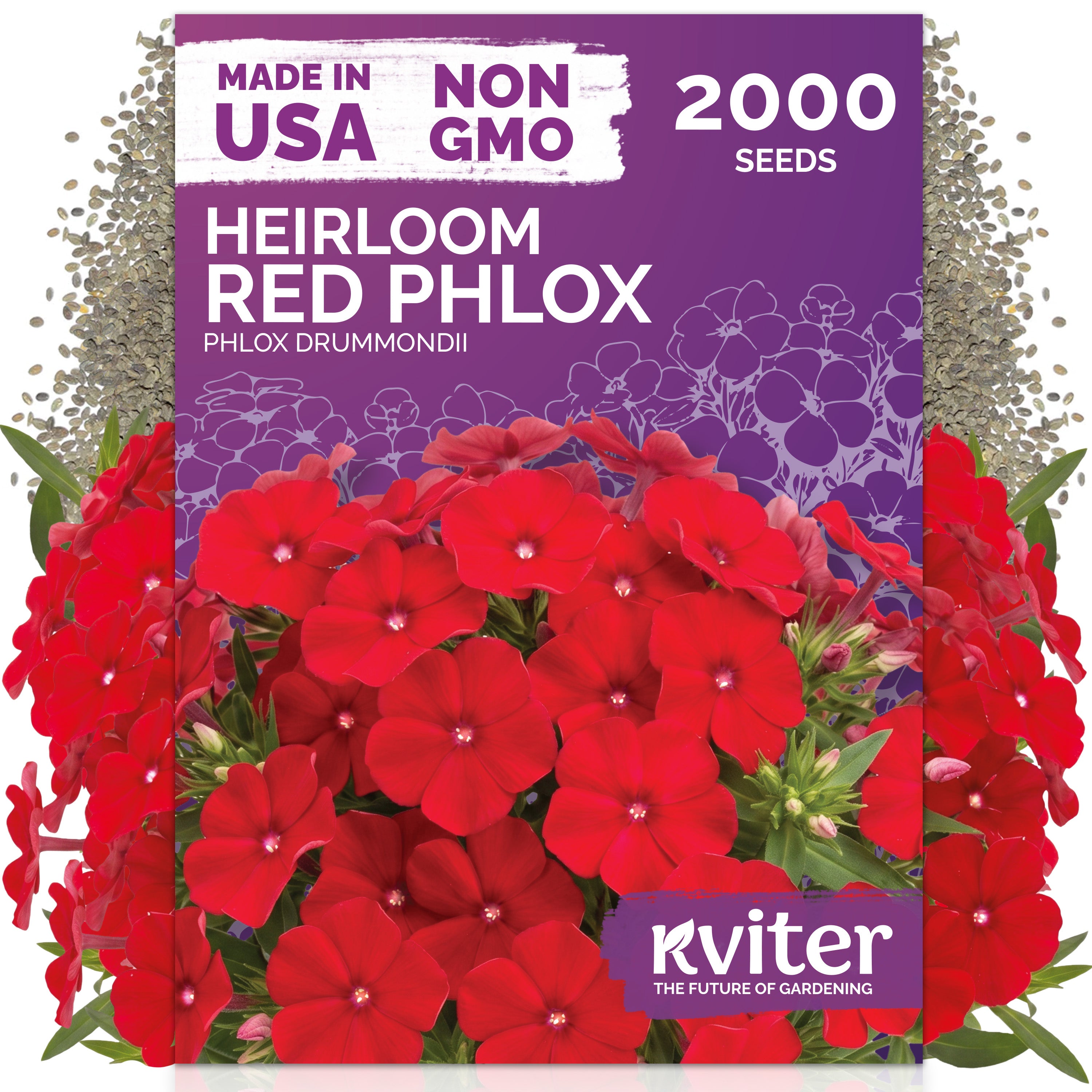 Red Phlox Seeds – kviterseeds.com