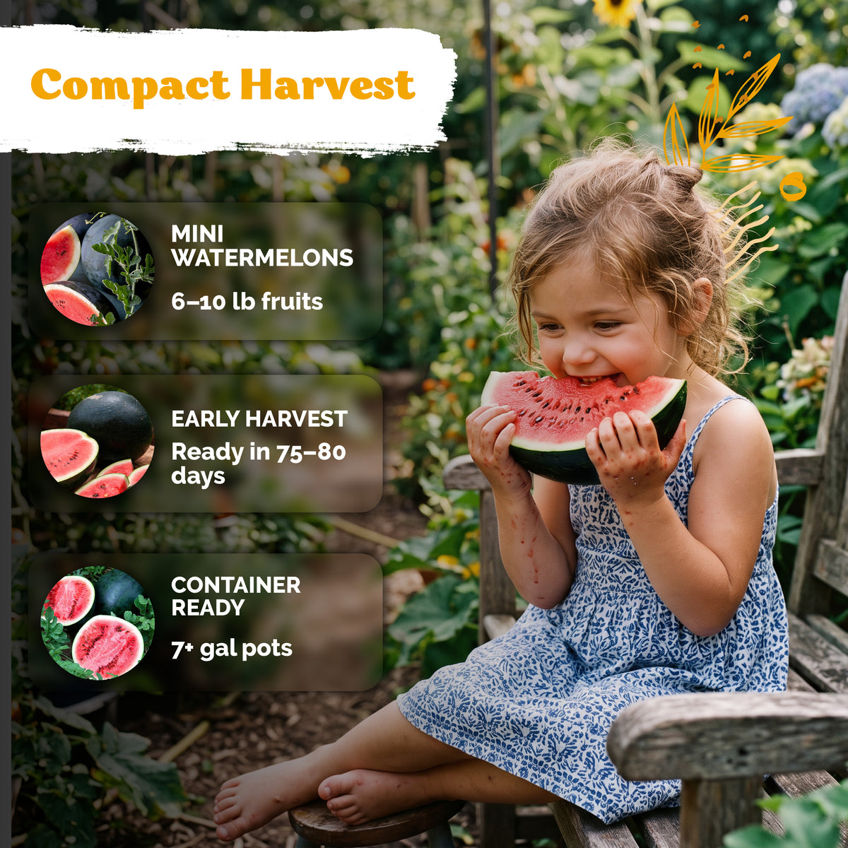 Sugar Baby Watermelon Seeds