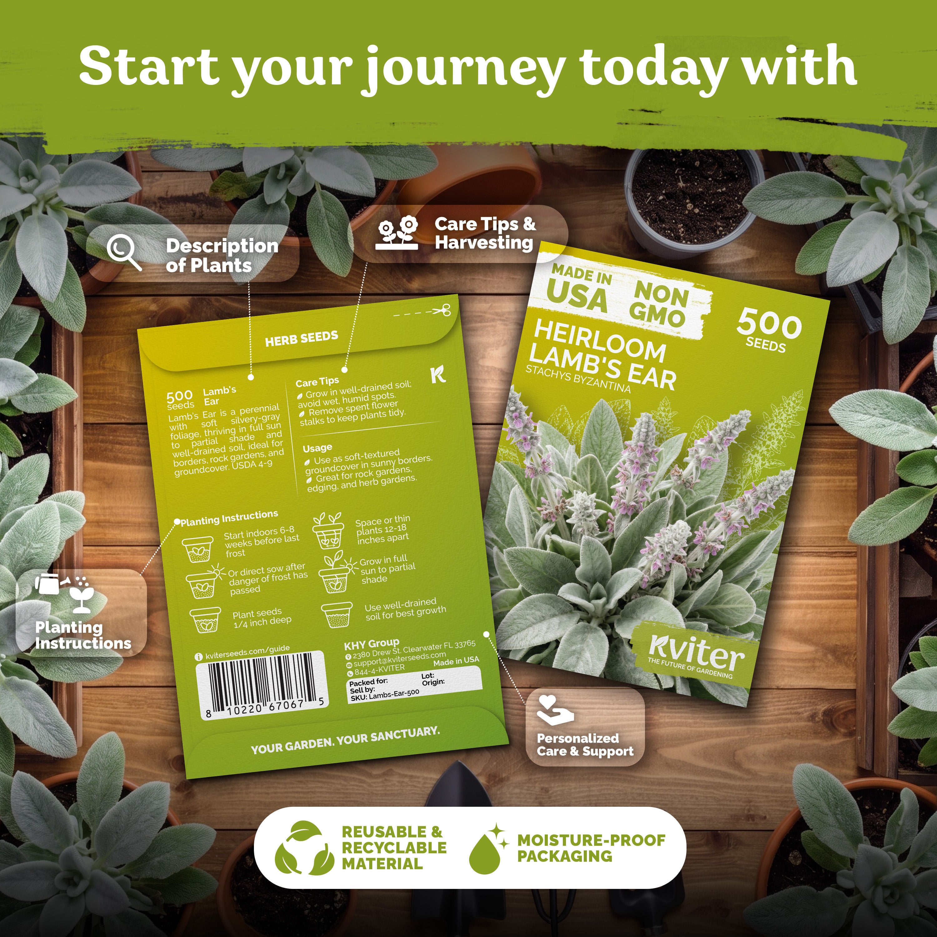 Lamb's Ear Seeds – kviterseeds.com – photo 2