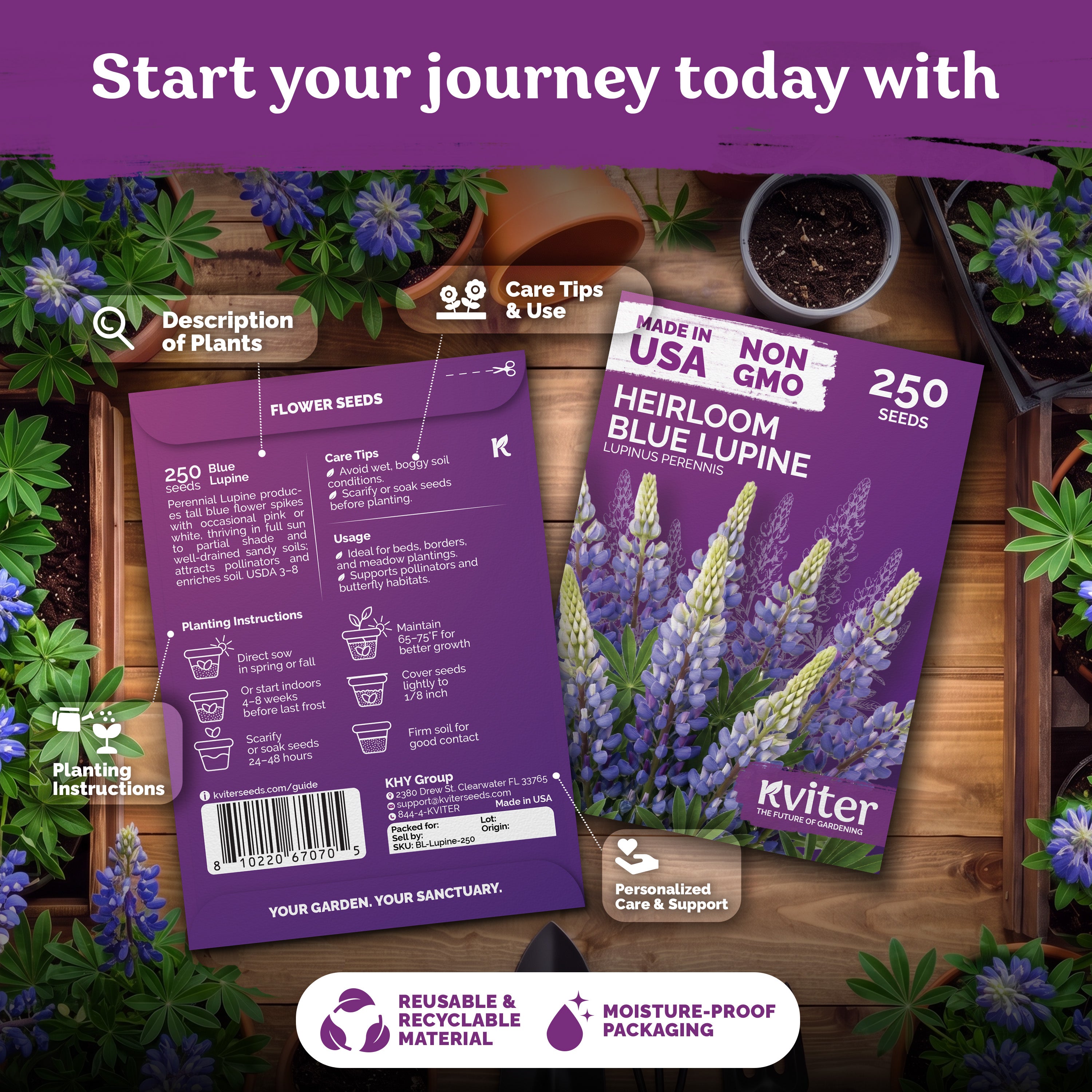 Blue Lupine Seeds – kviterseeds.com – photo 2