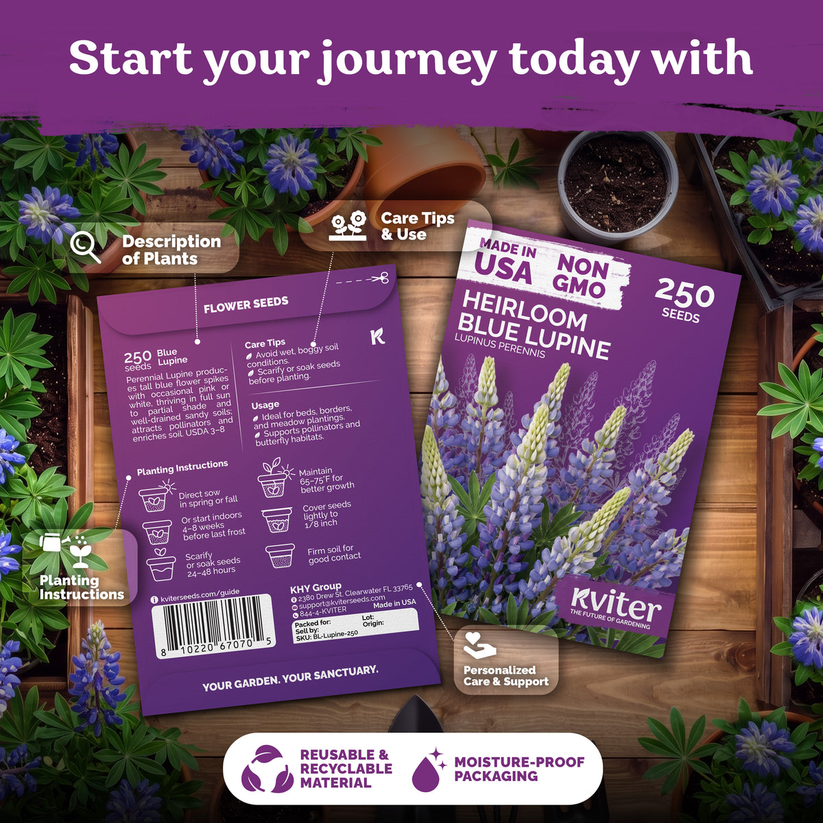 Blue Lupine Seeds – kviterseeds.com – photo 2