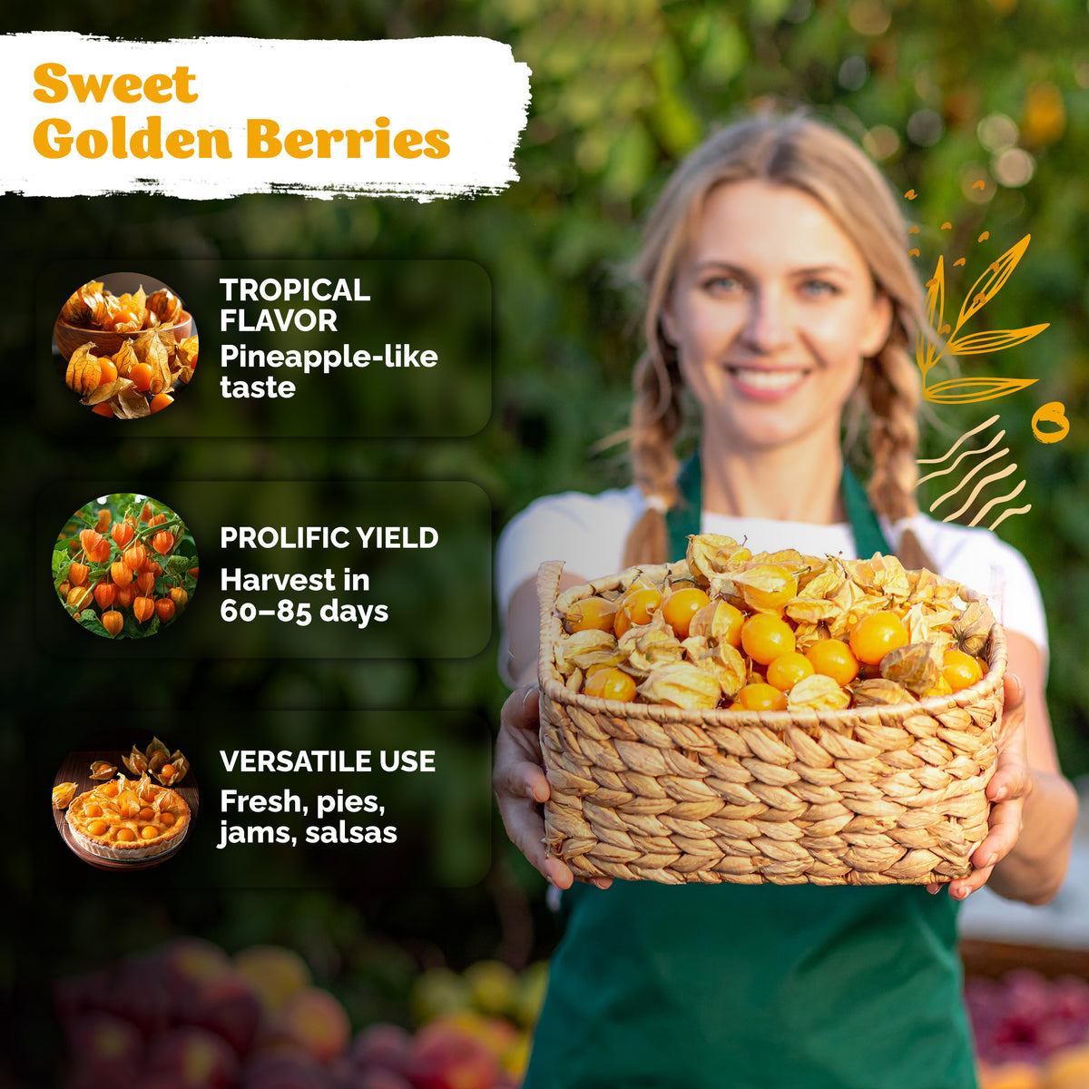 Pineapple Ground Cherry Seeds – kviterseeds.com – photo 4