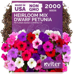 Mix Dwarf Petunia Seeds – kviterseeds.com