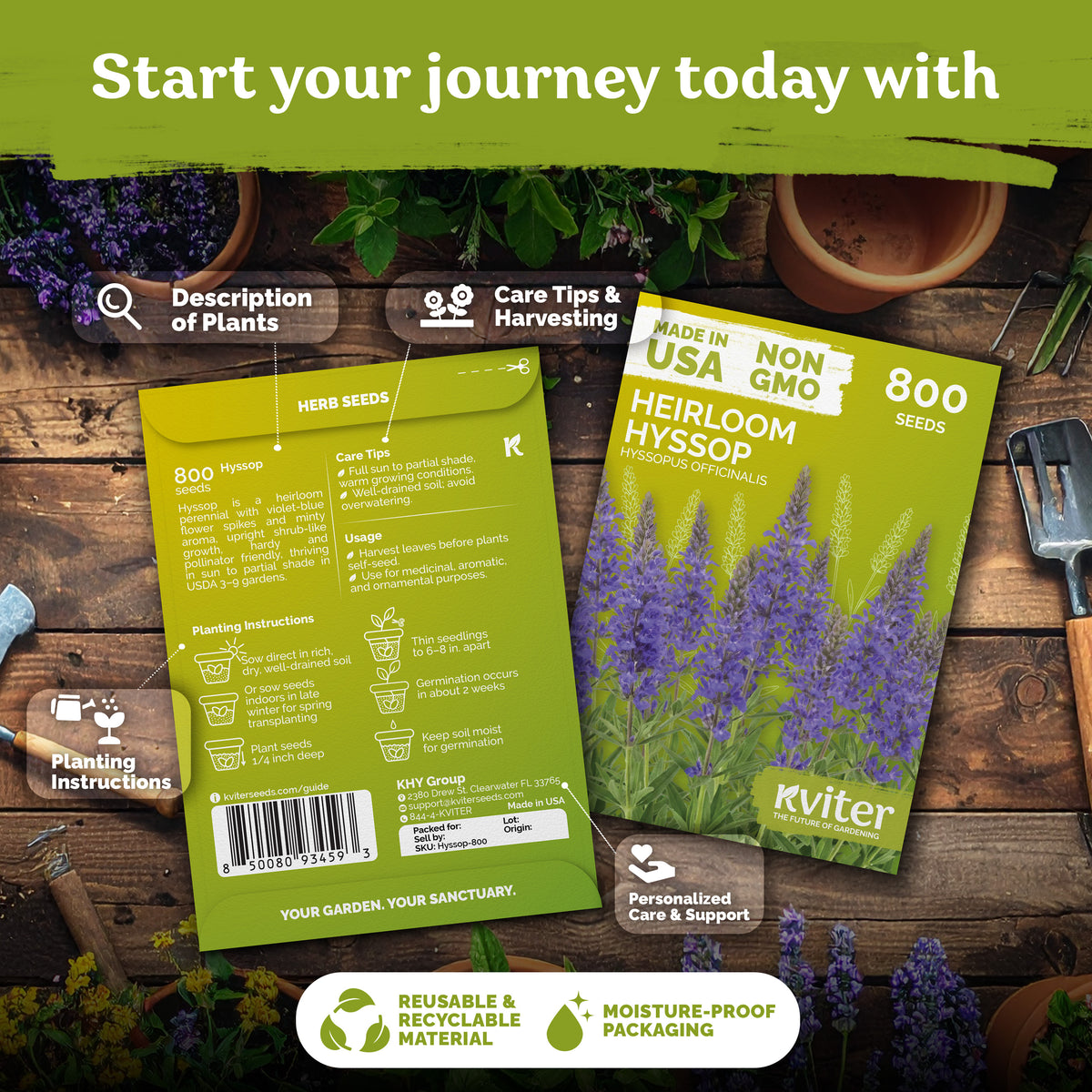 Hyssop Seeds