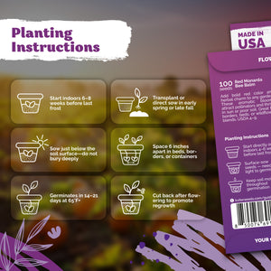 Red Monarda Bee Balm Seeds – kviterseeds.com – photo 3