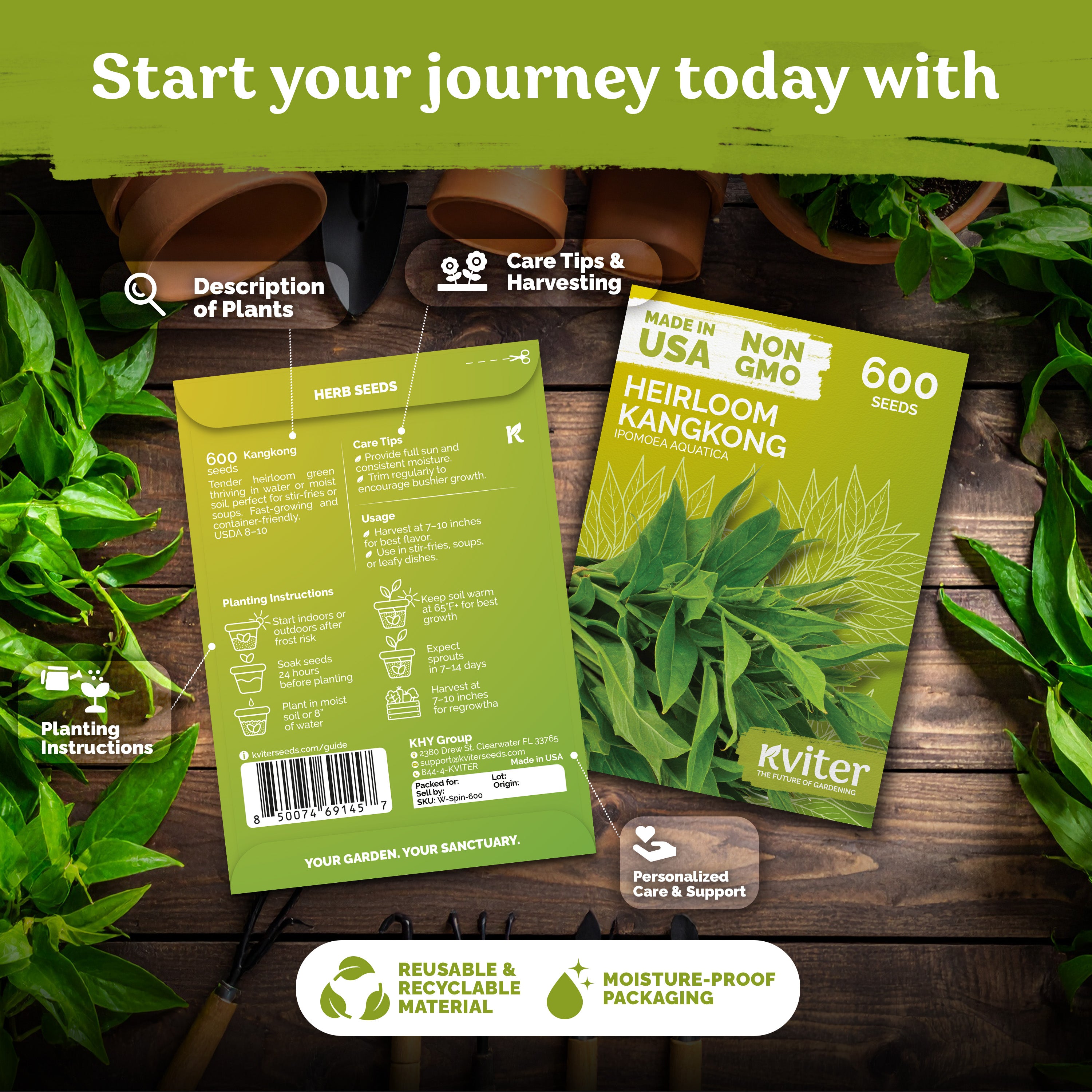 Kangkong Seeds – kviterseeds.com – photo 2