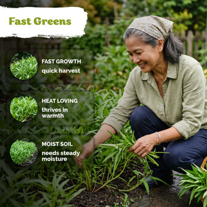 Kangkong Seeds – kviterseeds.com – photo 4