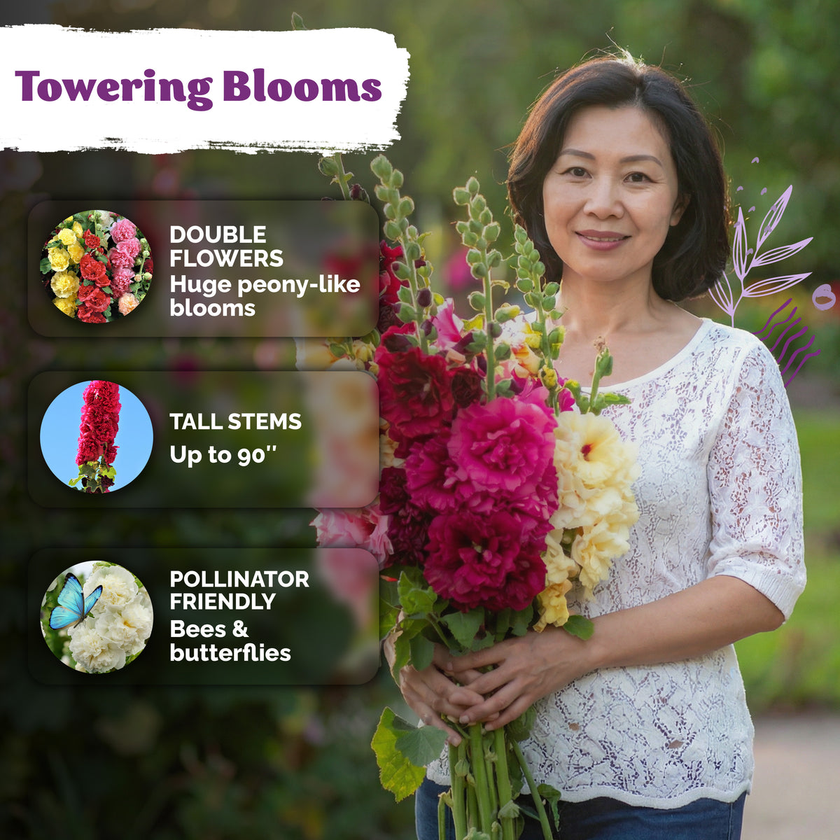 Chaters Double Hollyhock Seeds – kviterseeds.com – photo 4