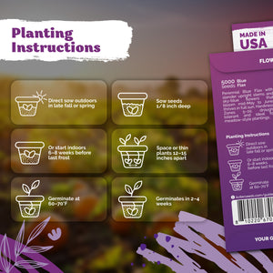Blue Flax Seeds – kviterseeds.com – photo 3