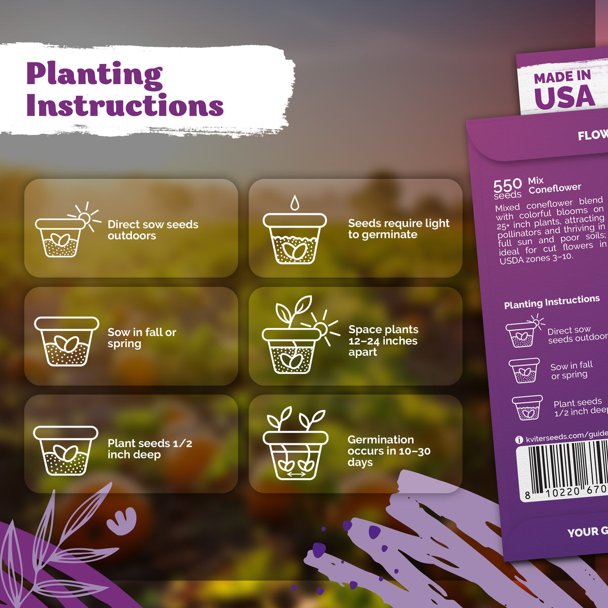 Mix Coneflower Seeds – kviterseeds.com – photo 3