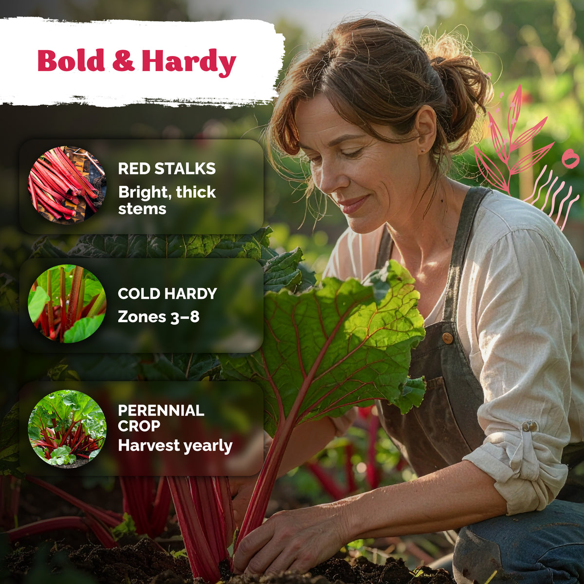 Red Victoria Rhubarb Seeds